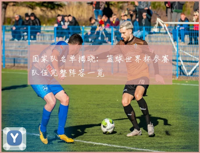 国家队名单揭晓：篮球世界杯参赛队伍完整阵容一览