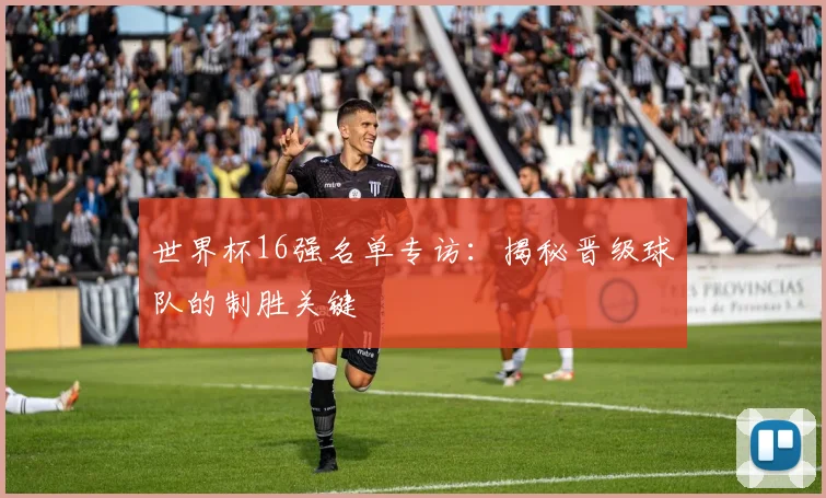 世界杯16强名单专访：揭秘晋级球队的制胜关键