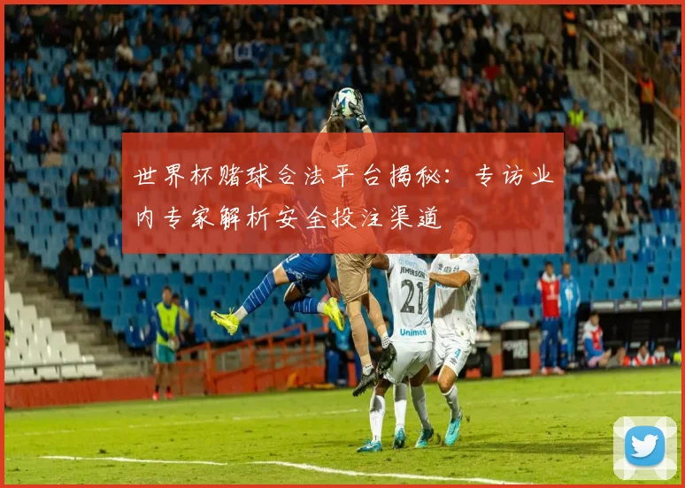 世界杯赌球合法平台揭秘：专访业内专家解析安全投注渠道
